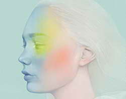 В Москве показали обломок упавшего в Новгородской области метеорита