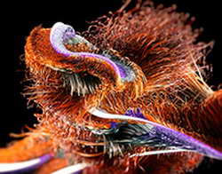 Wondershare выпустила Filmora версии V15, меняющую представление о создании видео благодаря глубокому интегрированному рабочему процессу с ИИ