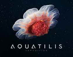 Вымогатели: как испанские сквоттеры превратились в нерешаемую проблему