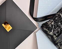 В Брянске обновили автопарк социального такси для инвалидов