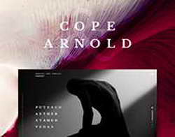 XCritical предлагает 2 месяца пользования платформой в подарок