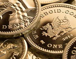 Обзор практики Верховного суда по делам об экологических спорах за 2024 год